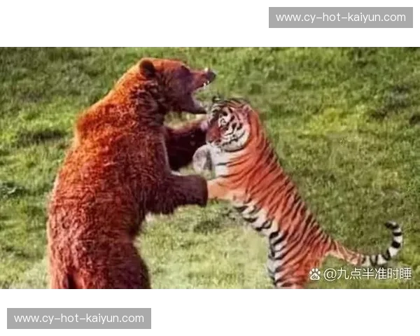 冰与火的巅峰对撞：当西伯利亚棕熊遭遇布鲁塞尔红魔，谁才是绿茵场上的终极主宰？